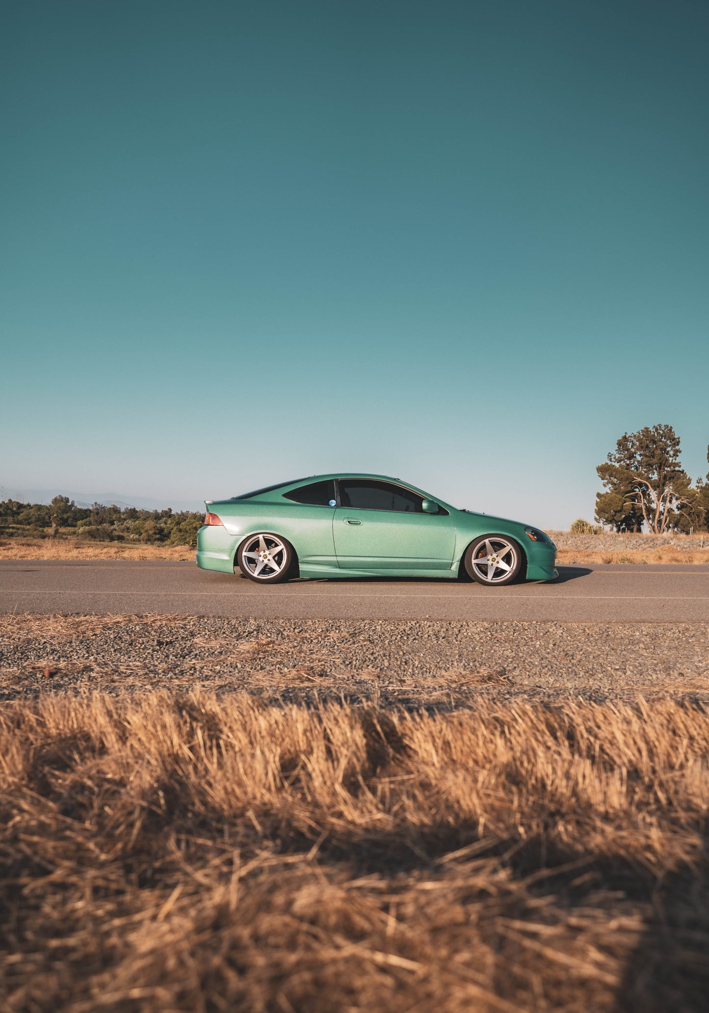 BC Racing Type BR Acura RSX 2002-2006 True Coilovers